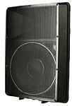 Optional Speaker Grill